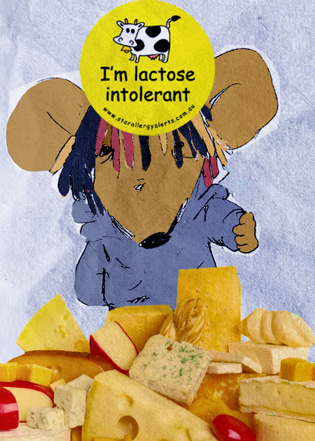 Oatis lactose intolerance collage